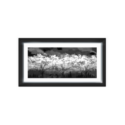LS200 Black and white forest - 70x30 / White Venice / Plain - thumbnail 5