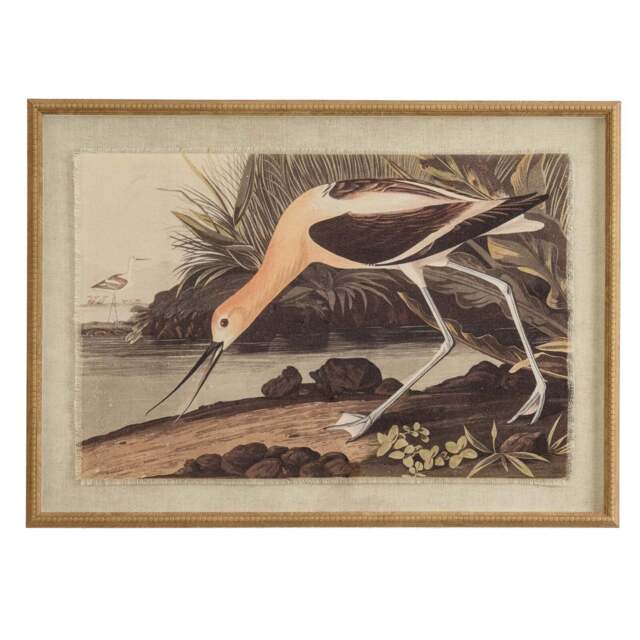 Flora & Fauna Collection Avocet on Linen in Beaded Frame - image 1