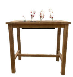 Althene Bar Table with chiller - thumbnail 3