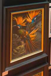 AN1053 Birds From Paradise --