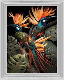 AN1053 Birds From Paradise -- - thumbnail 3