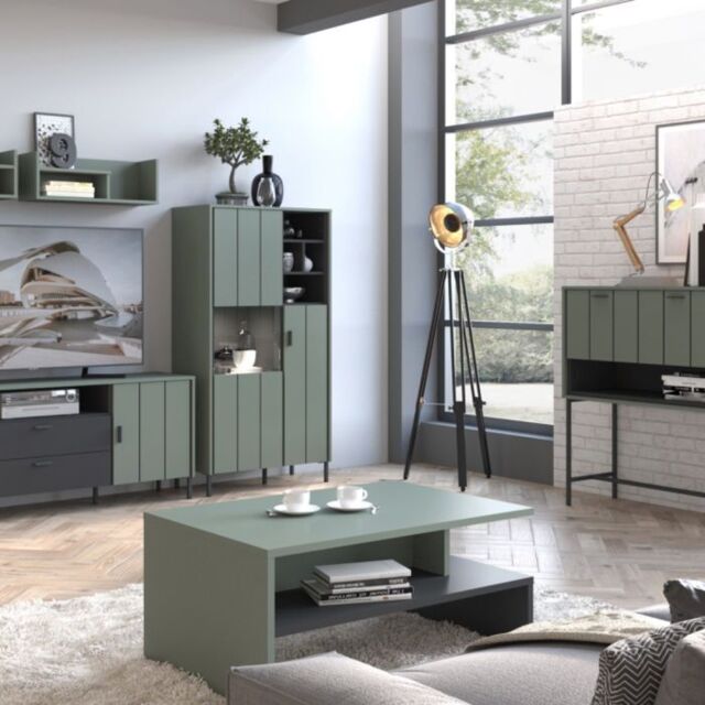 Arundel 2 Door Display Cabinet in Green/Grey - image 1