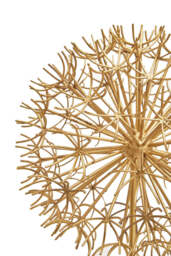 Tide Dandelion Sculpture – Gold Finish on White Marble Base - thumbnail 4