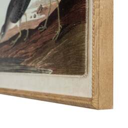 Flora & Fauna Collection Snipes on Linen in Beaded Frame - thumbnail 2