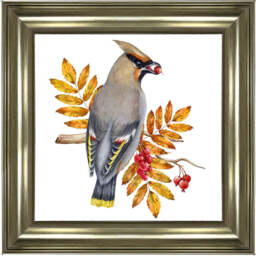 AN1507 BIRD WITH FRUIT & LEAVES - 40x40 / Black Lyon / PLAIN - thumbnail 3