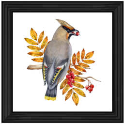 AN1507 BIRD WITH FRUIT & LEAVES - 40x40 / Black Lyon / PLAIN - thumbnail 2