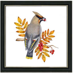 AN1507 BIRD WITH FRUIT & LEAVES - 40x40 / Black Lyon / PLAIN - thumbnail 1