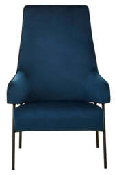 Darlisse Blue Velvet Chair - thumbnail 1