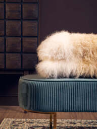 Ivory Ottoman Bench – Green Velvet with Gold Legs - thumbnail 5