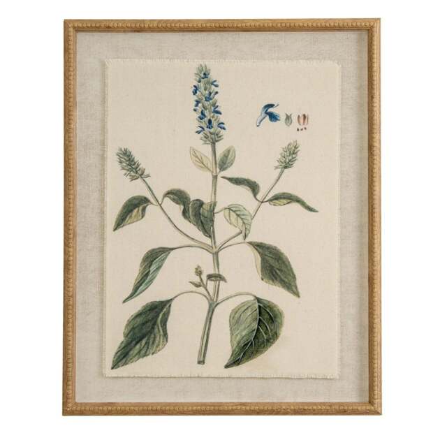 Flora & Fauna Collection Salvia on Linen in Beaded Frame - image 1