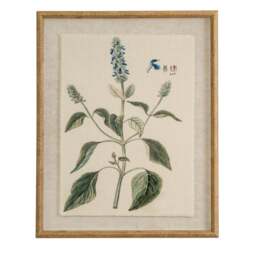 Flora & Fauna Collection Salvia on Linen in Beaded Frame
