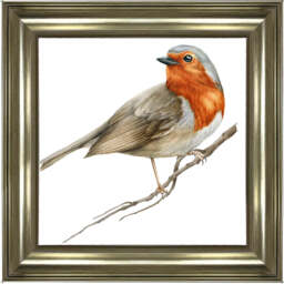 AN1508 ROBIN ON BRANCH - thumbnail 4