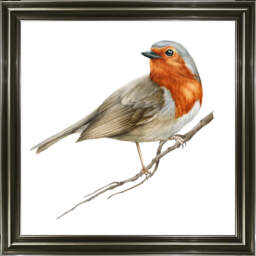 AN1508 ROBIN ON BRANCH - thumbnail 6