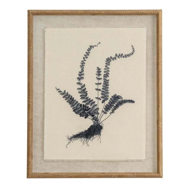 Flora & Fauna Collection Spleenwort on Linen in Beaded Frame - image 1