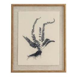 Flora & Fauna Collection Spleenwort on Linen in Beaded Frame - thumbnail 1