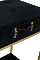 Vireo Townhouse Console Table – Hair On Hide - thumbnail 4