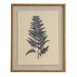 Flora & Fauna Collection Beech Fern on Linen in Beaded Frame - thumbnail 1