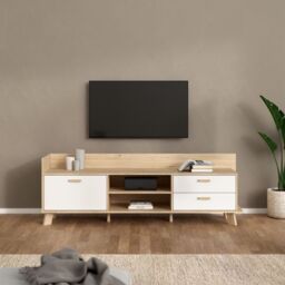 Ikast TV Unit 1 Door 2 Drawers in Jackson Hickory and White