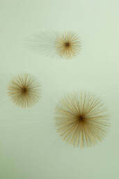 Breeze Set of 3 Gold Finish Wall Décor - thumbnail 5