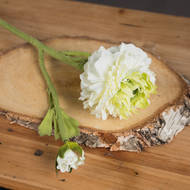 Fresh Green Ranunculus Decorative Spray - thumbnail 3