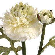 Fresh Green Ranunculus Decorative Spray - thumbnail 5