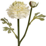 Fresh Green Ranunculus Decorative Spray - thumbnail 4