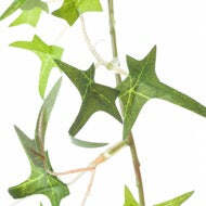 Small Ivy Garland - thumbnail 3
