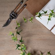 Small Ivy Garland - thumbnail 4