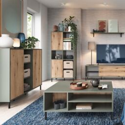 Darwin Sideboard 2 Door in Green/Oak - thumbnail 3