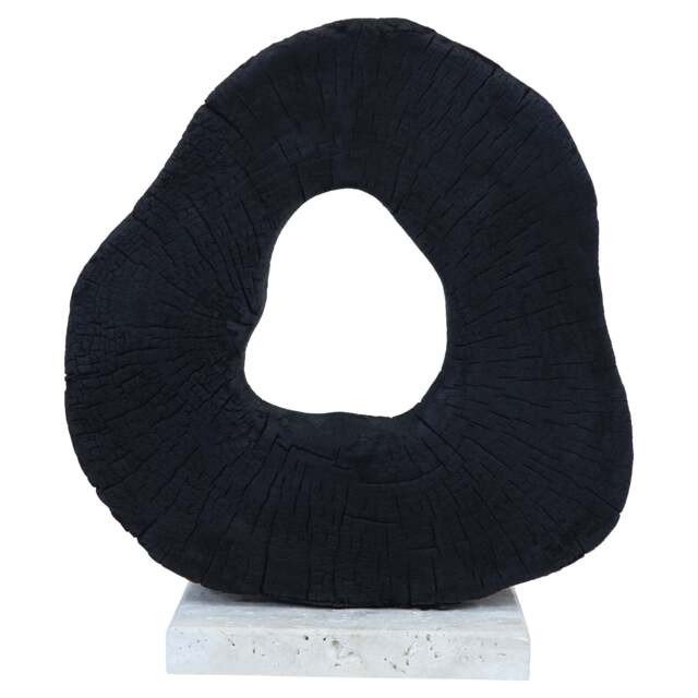Sculpture Black with Mango Wood Travertine Base Corvessa - image 1