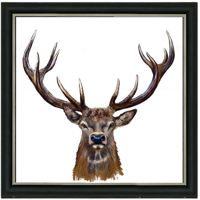 AN1529 STAG III - image 1
