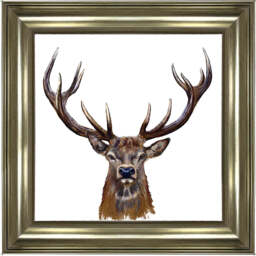AN1529 STAG III - thumbnail 3