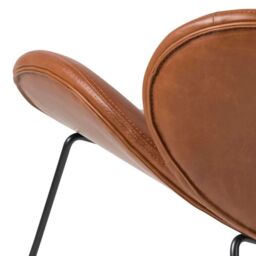 Lounge Chair in Brown  Cazar Collection - thumbnail 4