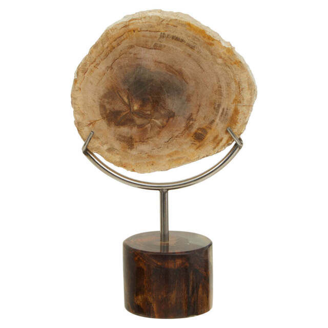 Bayview Sculpture – Petrified Wood - image 1