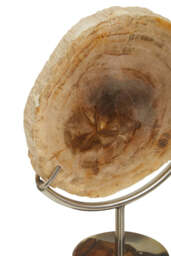 Bayview Sculpture – Petrified Wood - thumbnail 4