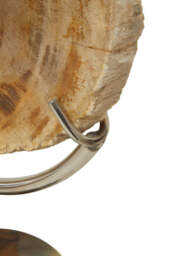 Bayview Sculpture – Petrified Wood - thumbnail 3