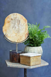 Bayview Sculpture – Petrified Wood - thumbnail 5