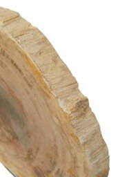 Bayview Sculpture – Petrified Wood - thumbnail 2