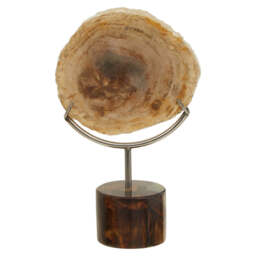 Bayview Sculpture – Petrified Wood - thumbnail 1