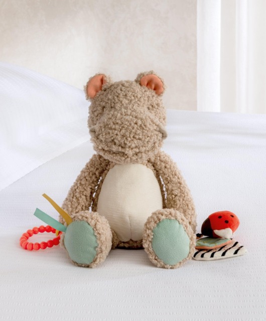 Activity Toy - Henry Hippo