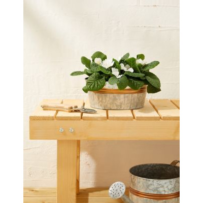 M&S Seasonal Tin Planter