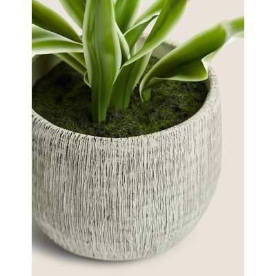 Moss & Sweetpea Artificial Natural Lily in Textured Pot - Green, Green