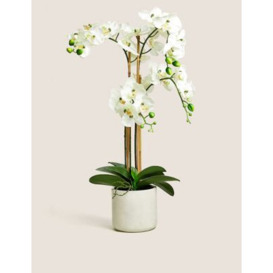 Moss & Sweetpea Artificial Real Touch Extra Large Orchid in Pot - White Mix, White Mix
