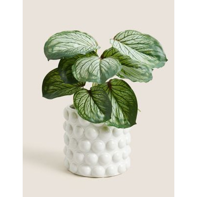 M&S Large Ceramic Bobble Planter - White, White