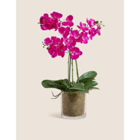 Moss & Sweetpea Artificial Real Touch Large Orchid in Glass Pot - Pink, Pink