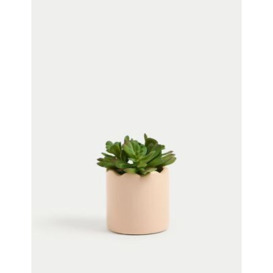 Moss & Sweetpea Artificial Mini Succulent Plant in Pot - Pink, Pink