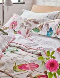 Designers Guild Pure Cotton Percale Floral Pillowcase Set Fuchsia Mix
