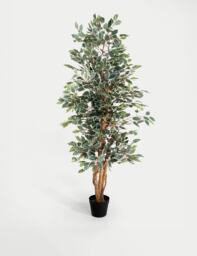 Blooming Artificial 6ft Artificial Ficus Tree in Pot Green Mix
