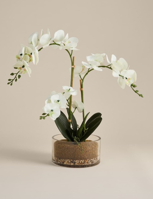 M&S Artificial Large Orchid in Glass Pot White
