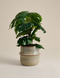 M&S Artificial Monstera Plant in Ceramic Pot Natural